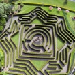 Bellingham Maze