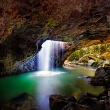 Springbrook National Park